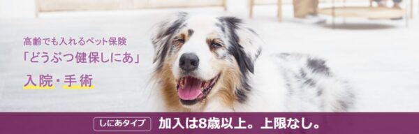 どうぶつ健保しにあ アニコム損保