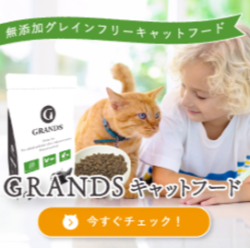 GRANDS グランツ