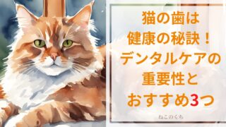 猫の歯を守るのは健康の秘訣！デンタルケアの重要性とおすすめフードとおやつ