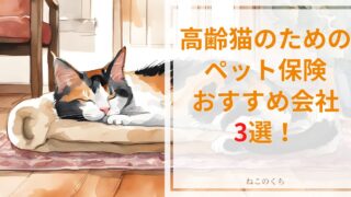 高齢猫のためのペット保険会社3選！老齢保険の必要性とおすすめプランを徹底解説