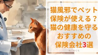 猫風邪はペット保険が使える？猫の健康を守るためにおすすめの保険会社3選