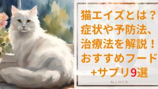 猫エイズとは？症状や予防法、治療方法を解説！おすすめフード+サプリ9選