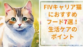 FIVキャリア猫におすすめフード7選！猫エイズに負けないケアのポイント